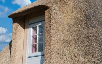 Pittington thatch roof disadvantages