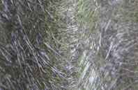 Pittington fibreglass roof work